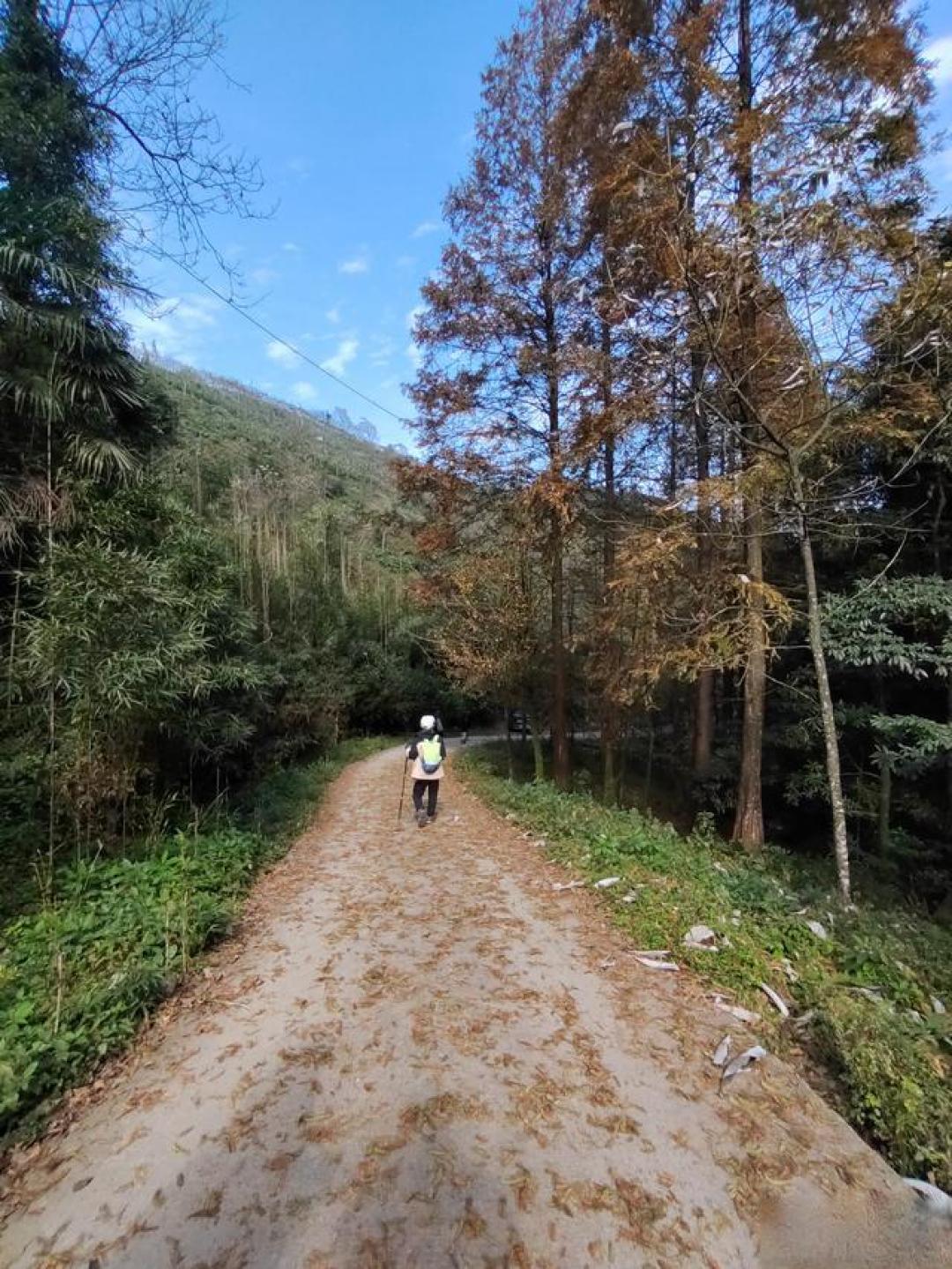 都江堰斗底山8字环线，赵公山旁新线路，每周一山93