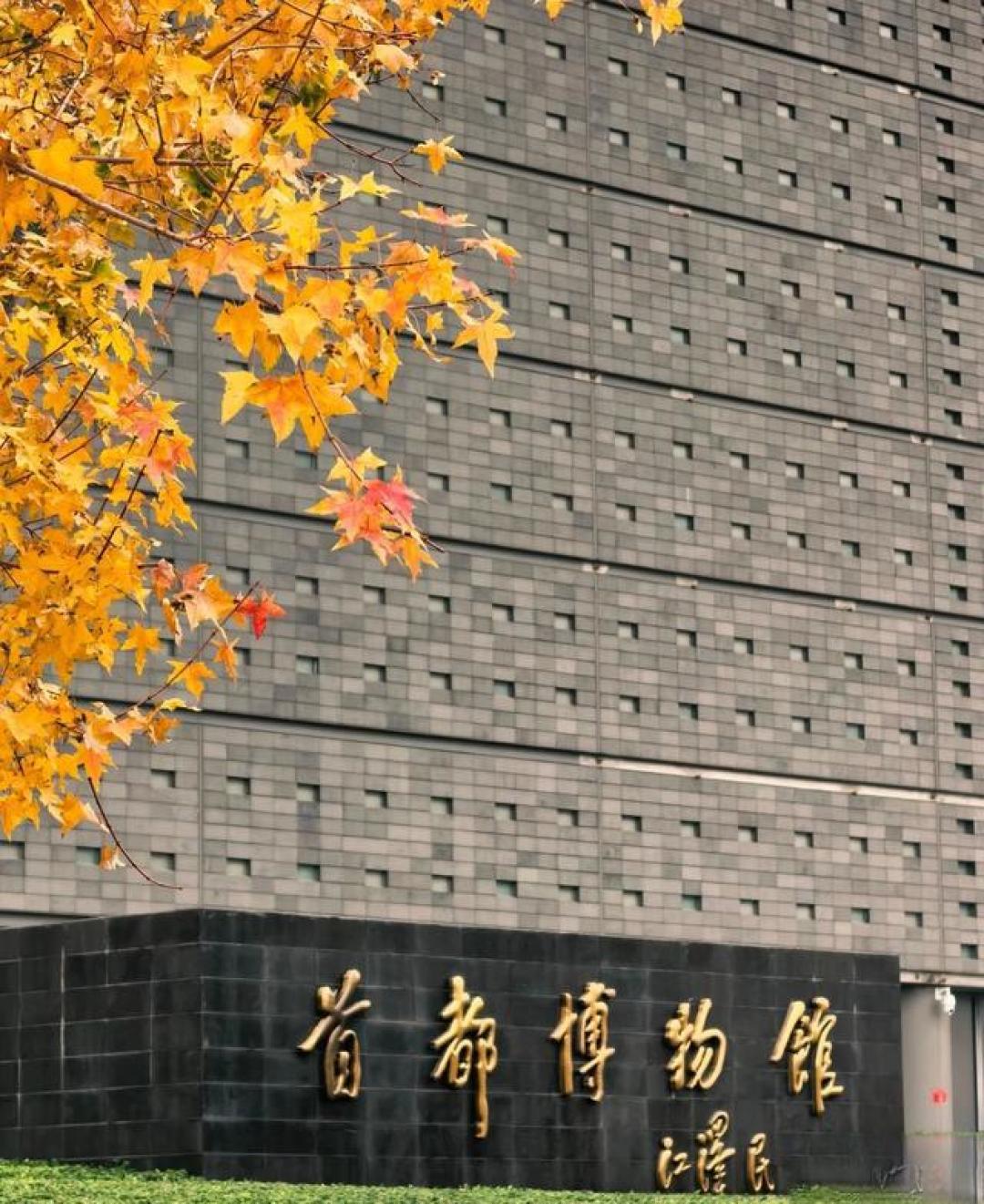 全部免费!2月带娃必去的8个科技馆博物馆,寓教于乐孩子超喜欢!
