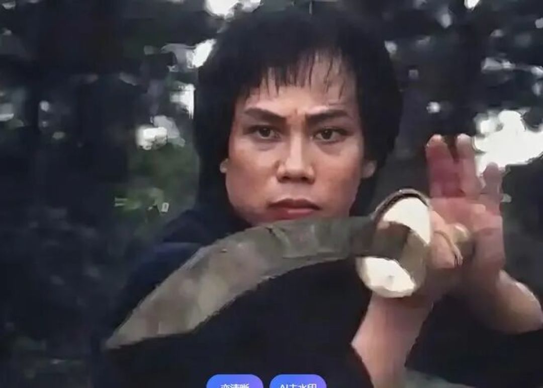 陈真走了——梁小龙