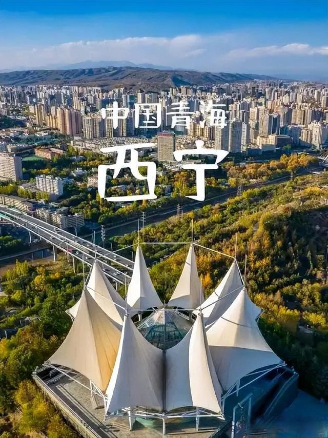 青海首家麦当劳开业,现场排起长队引发热议:都2025年了,才有吗