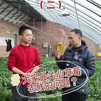 连续三年287项农残和5项重金属都未检出的有机草莓种出来不容易！专业的听听门道，不专业的也听听道理！#有机草莓#有机农业#健康@抖音热点宝 @抖音能量站 @抖音广告助手