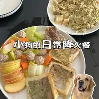 95后养狗｜小狗的日常降火餐 冬天要多多补水喔#养狗经验分享 #狗狗配餐 #狗狗吃饭 #狗狗鲜食 #萌宠出道计划