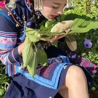 科普分享12种蜂蜜，来看看你吃过几种，感恩大自然的馈赠 #蜂蜜 #大自然的馈赠 #蜜蜂采蜜 #农产品 #保护大自然