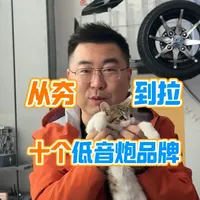 汽车低音炮主观排名：劲浪、捷力与来福谁更强？