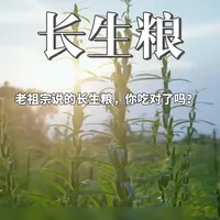 老祖宗说的“长生粮”，你吃对了吗？ #中药养生 #黑芝麻 #健康养生 #非遗传承 #本草中华