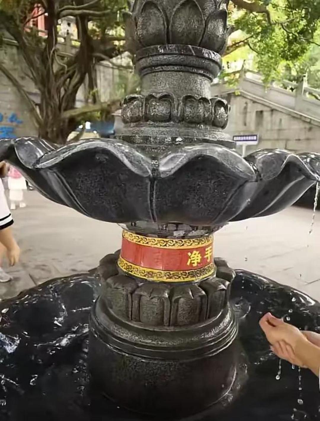 深圳仙湖植物园一日游详细攻略