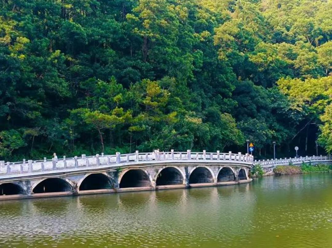 深圳仙湖植物园一日游详细攻略