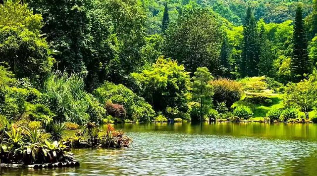 深圳仙湖植物园一日游详细攻略