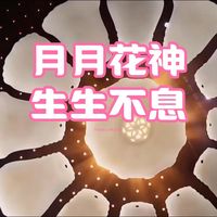 十二花信映新春吉祥如意一整年