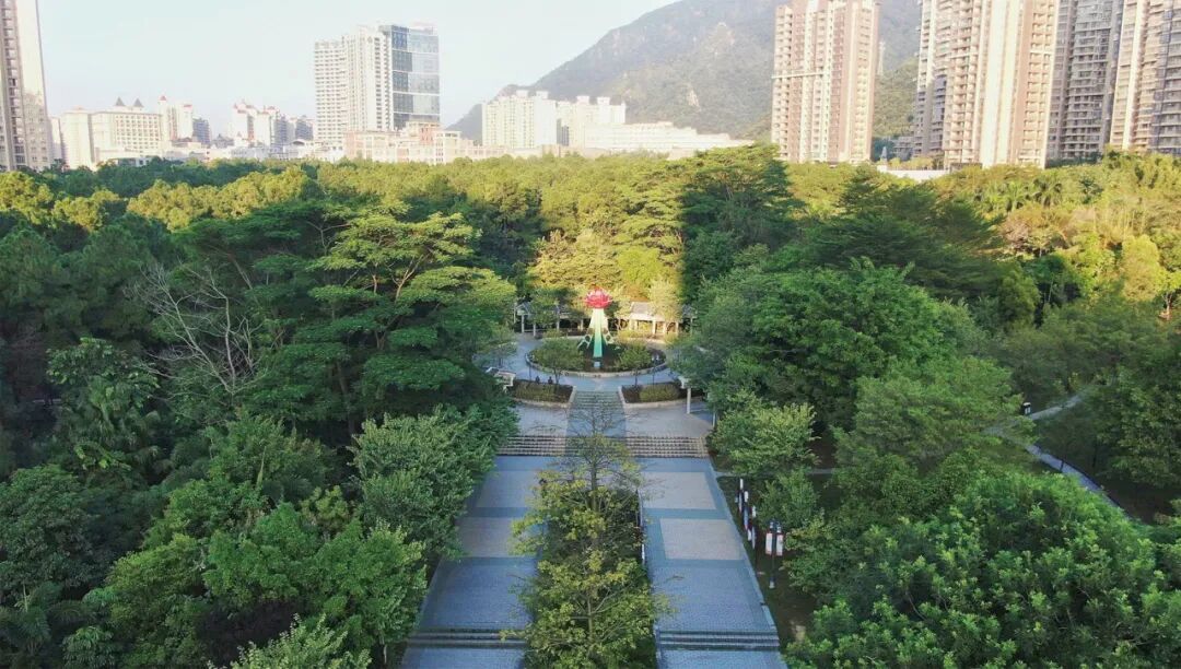 新春启行，赴一场红色研学之旅