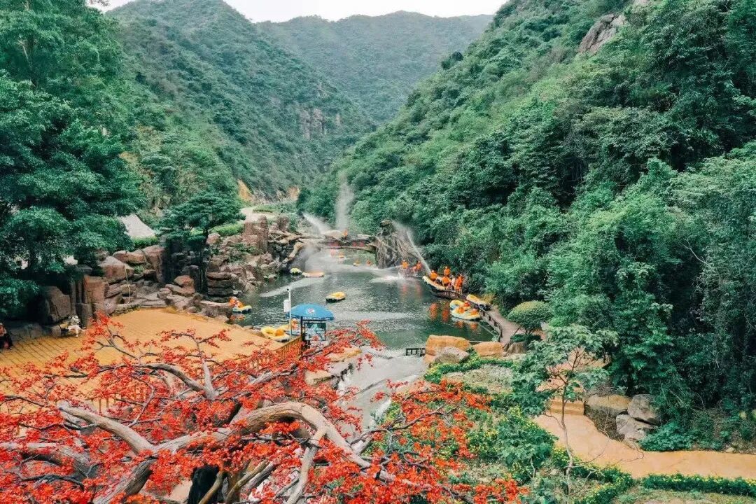 新春启行，赴一场红色研学之旅