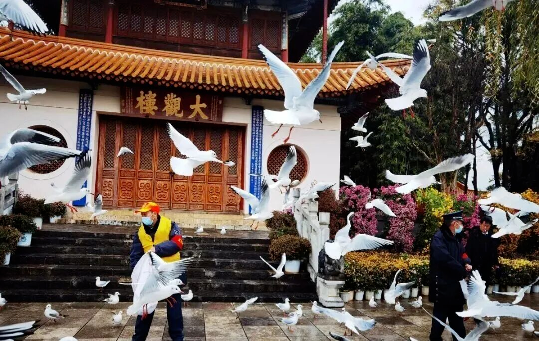 哇鸥!在昆明别错过!