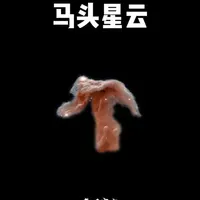 马年最应景的星云！ 在浩瀚宇宙无数片星云之中，能和生肖年份完美呼应、外形又如此传神的天体屈指可数，而马头星云，就是其中最神奇、最震撼的一个。#探索宇宙#天文#马头星云