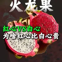 为啥红心火龙果比白心的贵得多 #火龙果 #科普 #长知识 #水果
