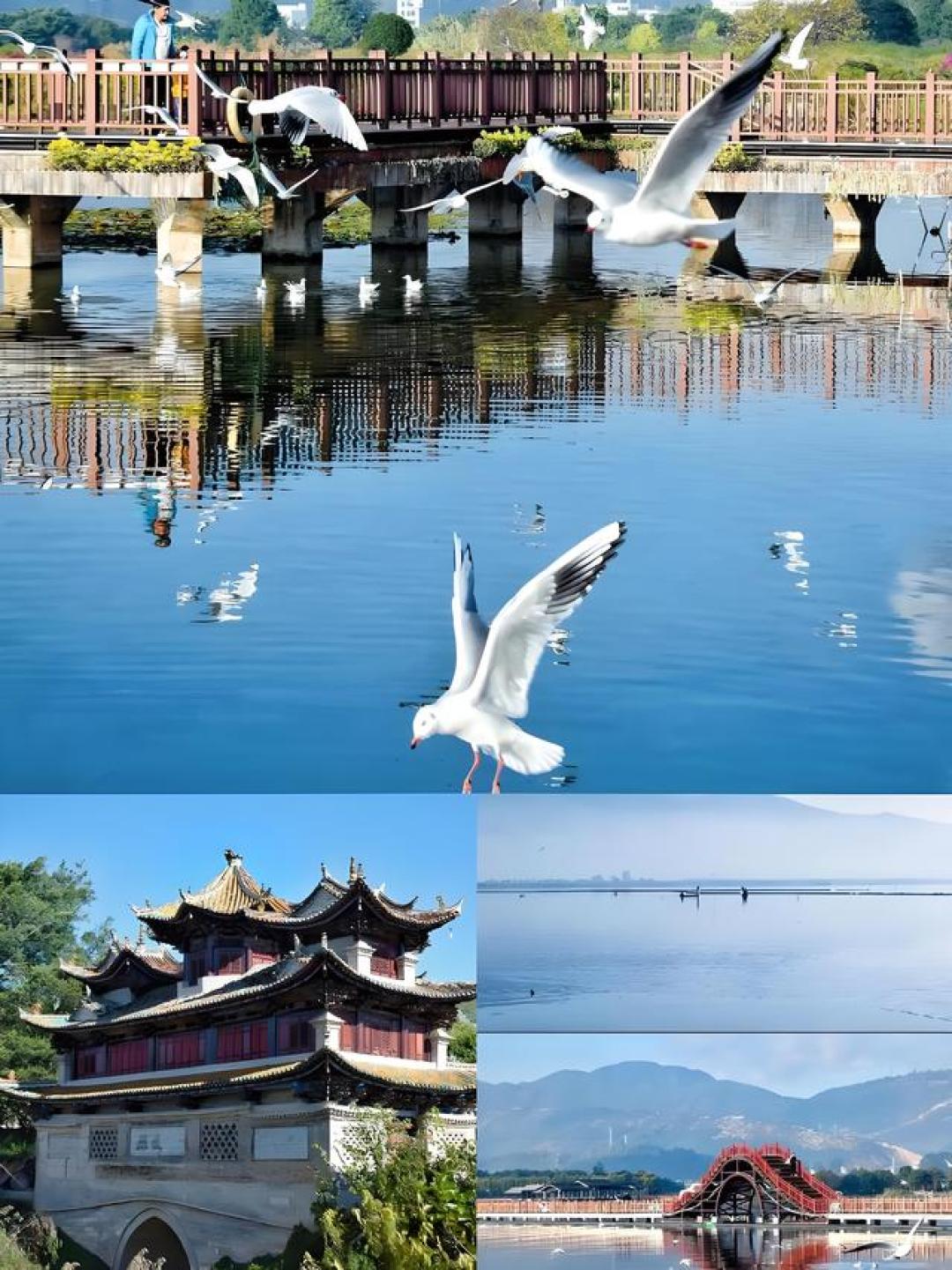 云南旅游别再死磕大理丽江!这座宝藏小城才是真滇西