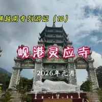 南宁出发《纵横越南专列》游记（10），登汉化灵应寺俯瞰岘港全景#越南旅游 #岘港 #灵应寺 #纵横越南