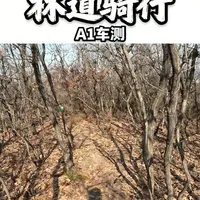 我最爱的林道内骑行岳YUEH A1这台车的表现 #骑行乐趣 #山地车 #自行车技巧 #软尾山地车 #林道穿越