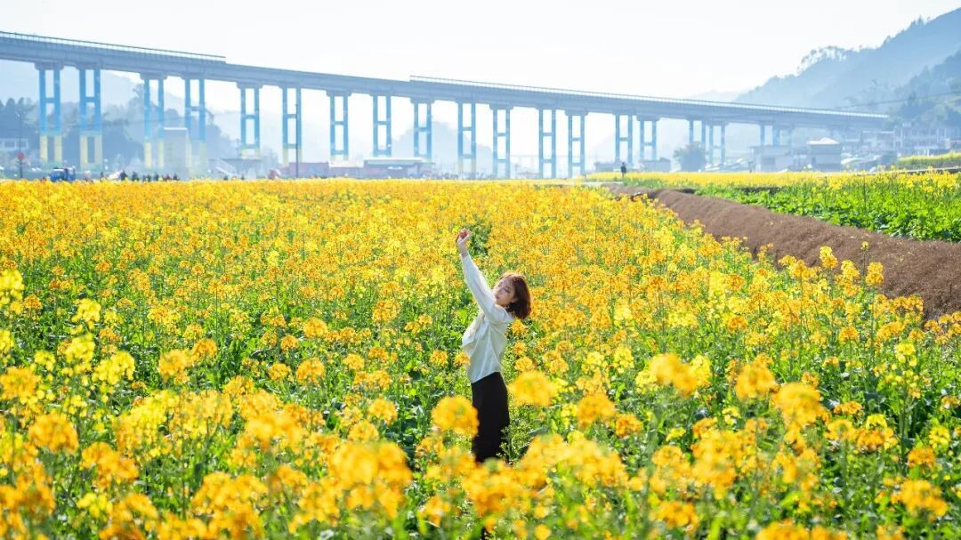 开啦！10000亩油菜花全面盛开，早春小城风景不输婺源！人均50元吃美食，过年快冲！