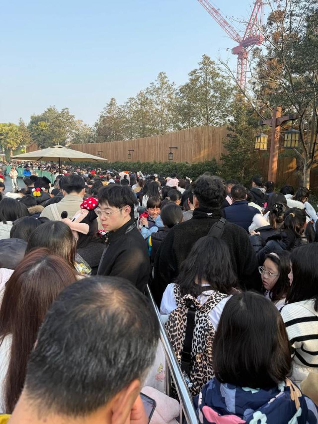 寒假工作日爆园10万!上海迪士尼血泪攻略,亲子必看