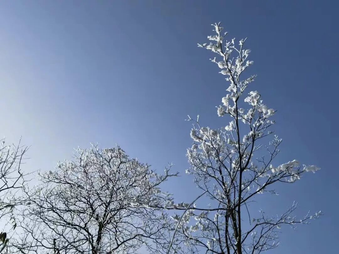 成都一座蜀地仙山,雪景巨好看,免费游玩,和5A景区同名