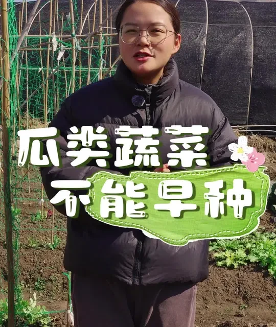 瓜类蔬菜为什么不能种太早？ #种菜 #种植小技巧 #关注我一起学种菜 #自己种的纯天然的绿色蔬菜 #我的小菜园