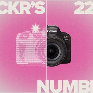 佳能夺冠!Flickr公布2025年度最受欢迎相机TOP10