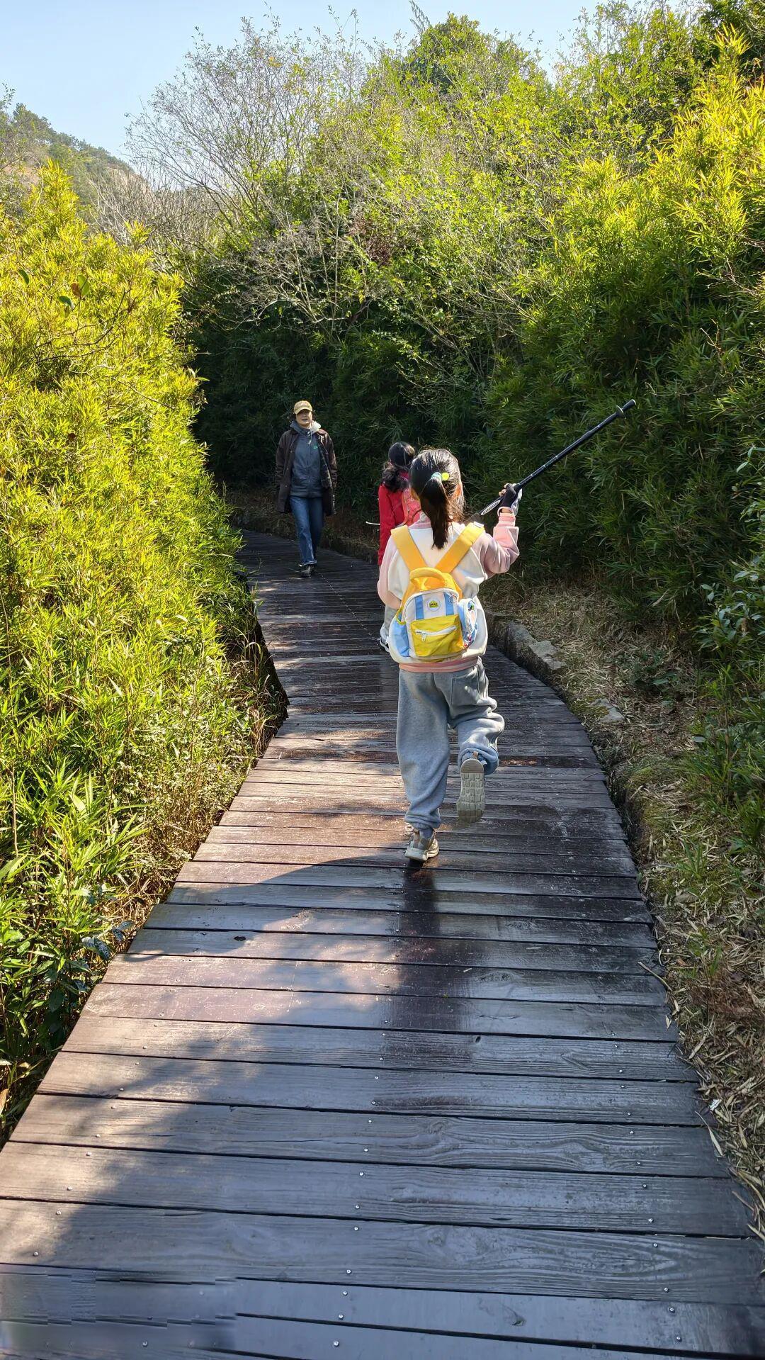 徒步||行走大罗山,赴一场山野之约2603