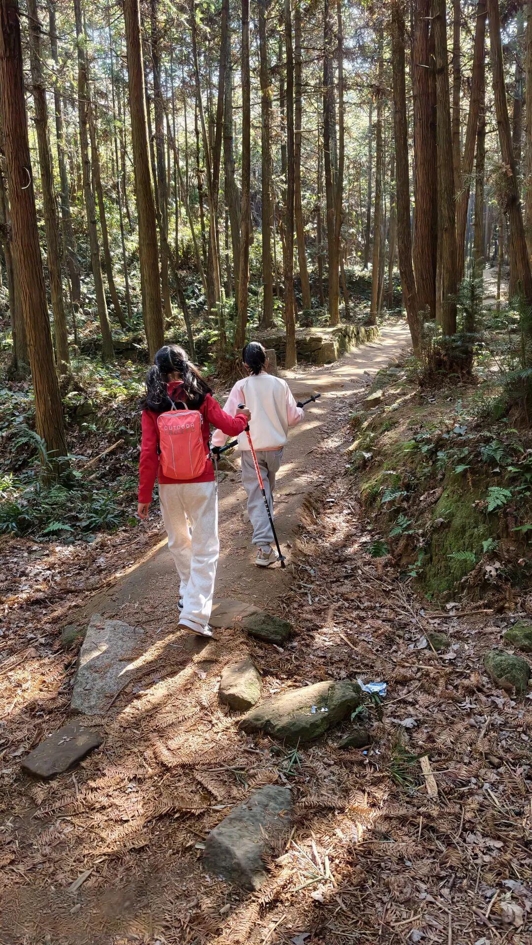 徒步||行走大罗山,赴一场山野之约2603