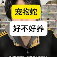 爬行动物的优点就是方便#宠物蛇 #玉米蛇