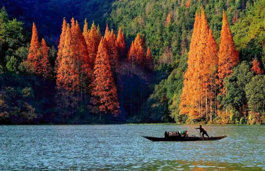 私藏级别!建德这处山野,99%的人还没去过