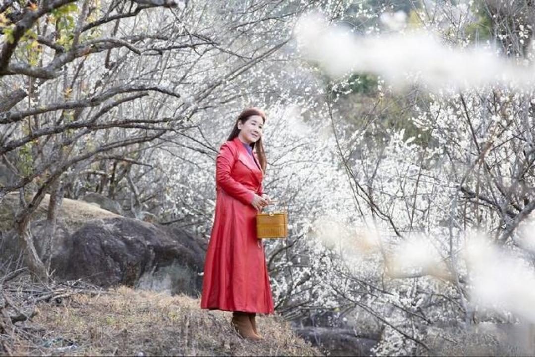 为什么说,中年女性拍照要远离镜头?因为更有高级感和氛围感