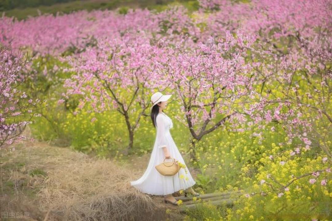 为什么说,中年女性拍照要远离镜头?因为更有高级感和氛围感