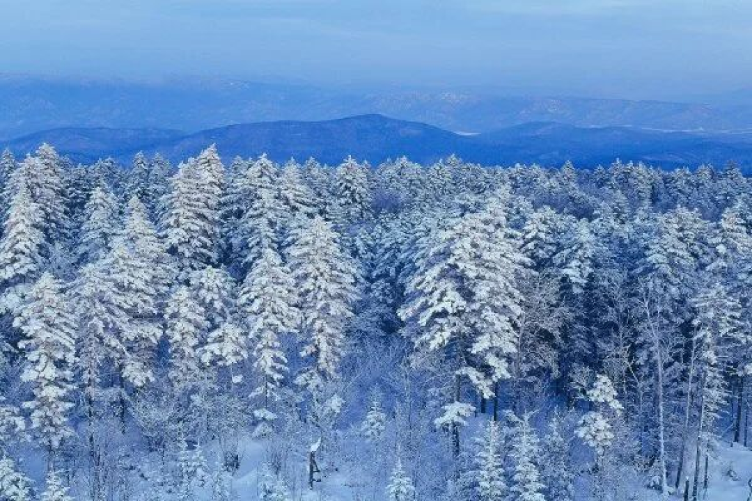 雪漫兴安,舌尖非遗