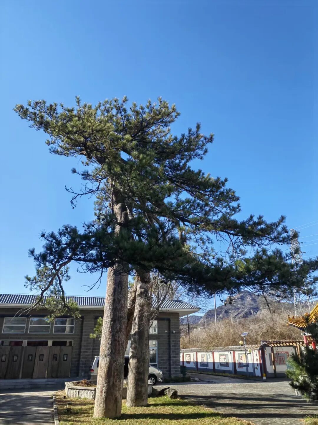 非遗润童心  文化共传承——记千家店中心小学传统文化进校园课程的滋养旅程