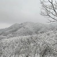 逃离工作日,奔赴冰雪仙境!山扉小分队百丈岭赏雾凇、拍2026新年大片全记录