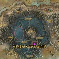 魔兽世界时光服兽王猎宠物快速升级，40分钟满级攻略分享