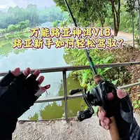 路亚万能假饵vib到底怎么玩？简单跟各位新钓友们分享交流一下 #vib #路亚假饵 #路亚新手入门教程 #路亚 #路亚钓鱼
