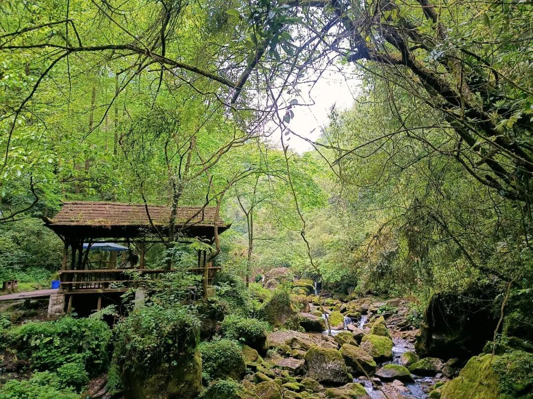 富养自己的最好方式:爬山。