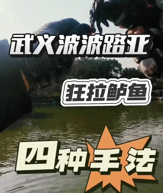 这个季节鲈鱼正钓保姆级攻略来了！ 运用好这四种钓法，你将强的可怕，上岸拐个弯不在话下！#真实生活分享计划 #黑坑盘老板 #鲈鱼正钓 #爆护就是这么简单 #抖音生活观察计划