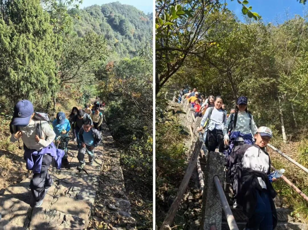 为什么现代人越来越迷恋徒步,从心理学角度聊聊