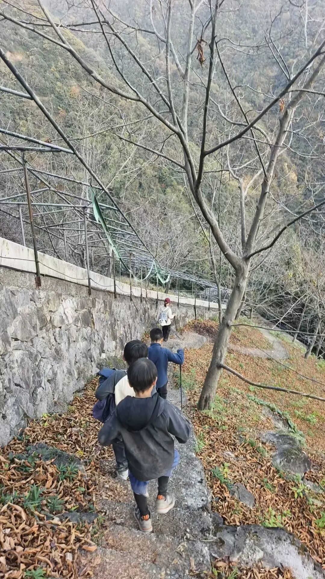 为什么现代人越来越迷恋徒步,从心理学角度聊聊