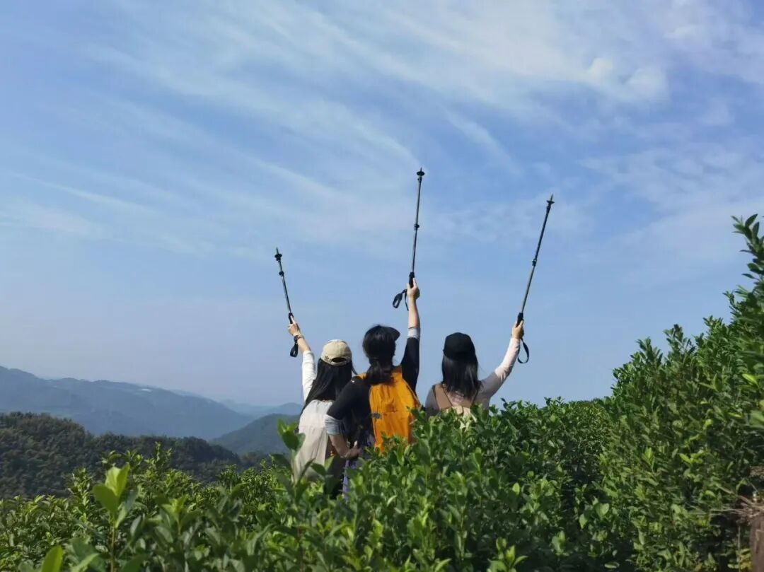 为什么现代人越来越迷恋徒步,从心理学角度聊聊