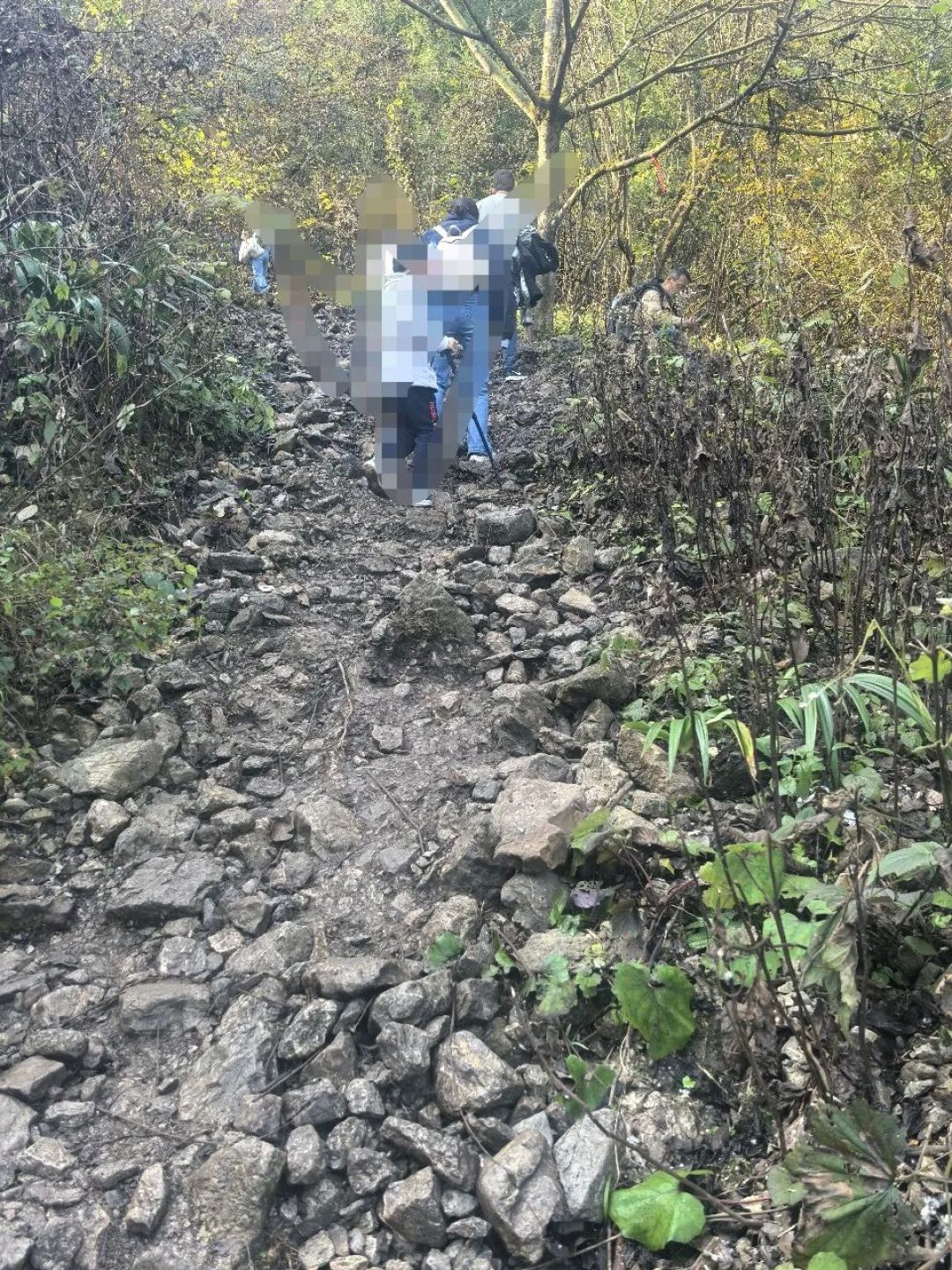 成都周边爬山徒步， 崇州琉璃坝环线6.67公里全是惊喜，彩林、河床、原始森林一次玩够！
