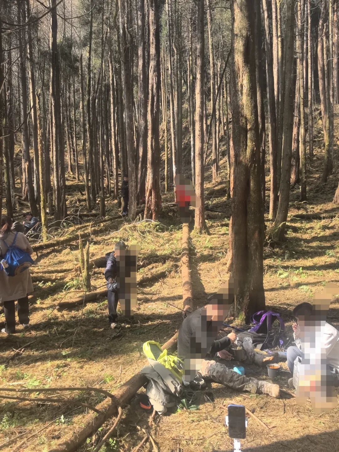 成都周边爬山徒步， 崇州琉璃坝环线6.67公里全是惊喜，彩林、河床、原始森林一次玩够！