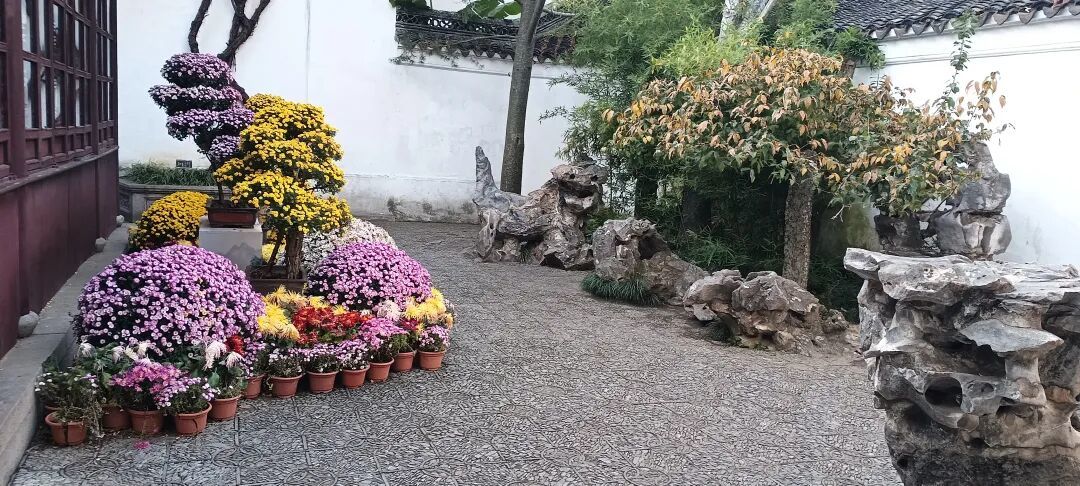 江山如此多娇,怎能不出来溜哒?