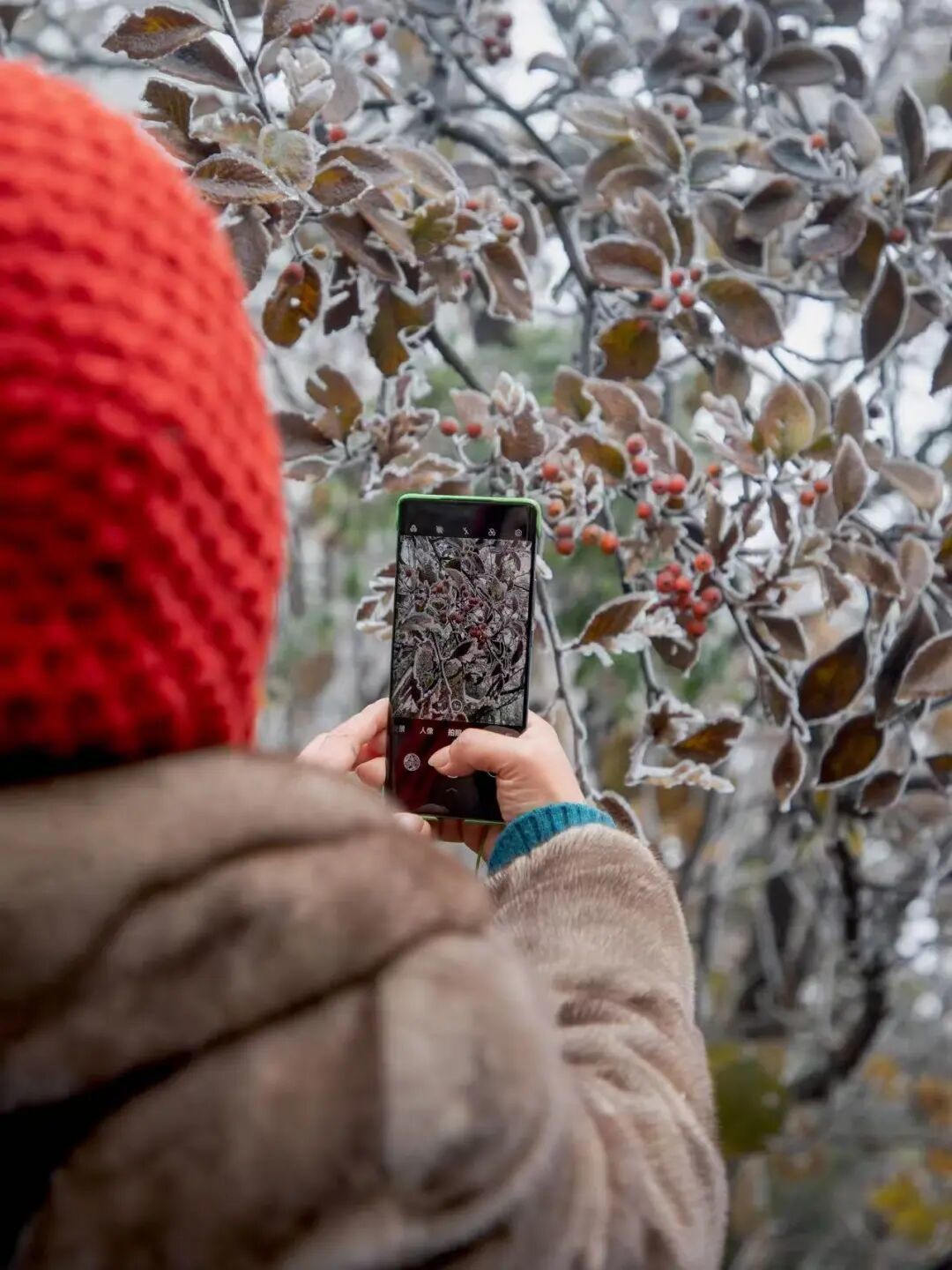 冬的信笺 | 南岳衡山：初雪未至，雾凇已成诗