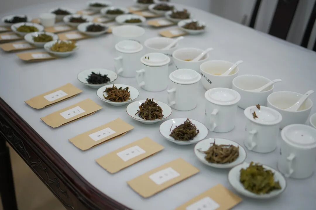 提升课:《感知校准和上手练习》 | 三适茶课堂