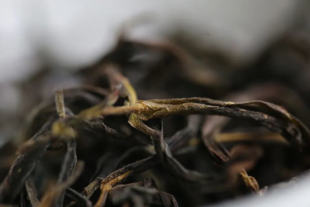 提升课:《感知校准和上手练习》 | 三适茶课堂