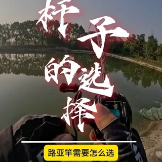 路亚竿子，轮子怎么选？#路亚 #钓鱼装备推荐 #黑坑装备选择 #路亚竿选择