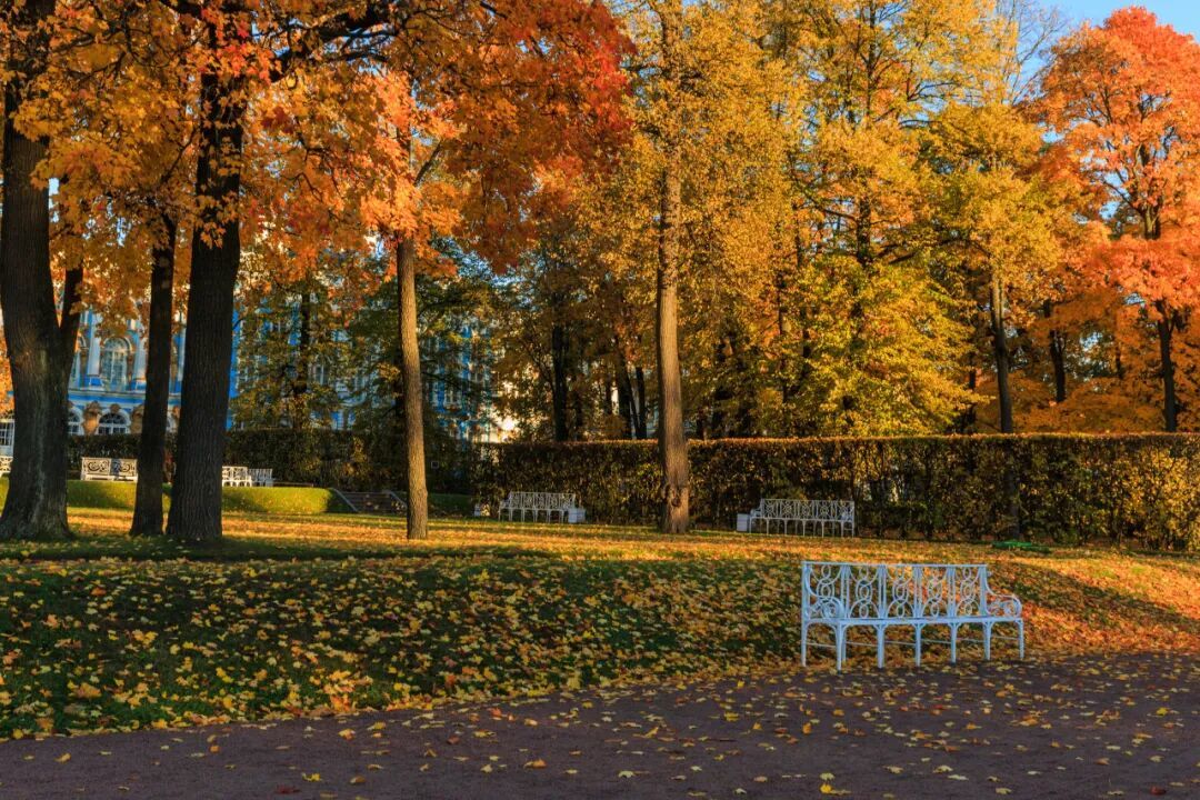 重阳养生智慧:登高+营养,解锁秋冬满满元气 | 浙里有营养